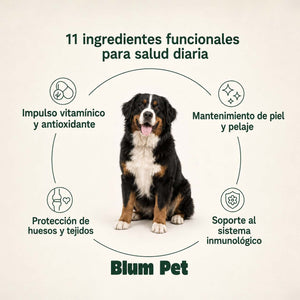 Bienestar Diario