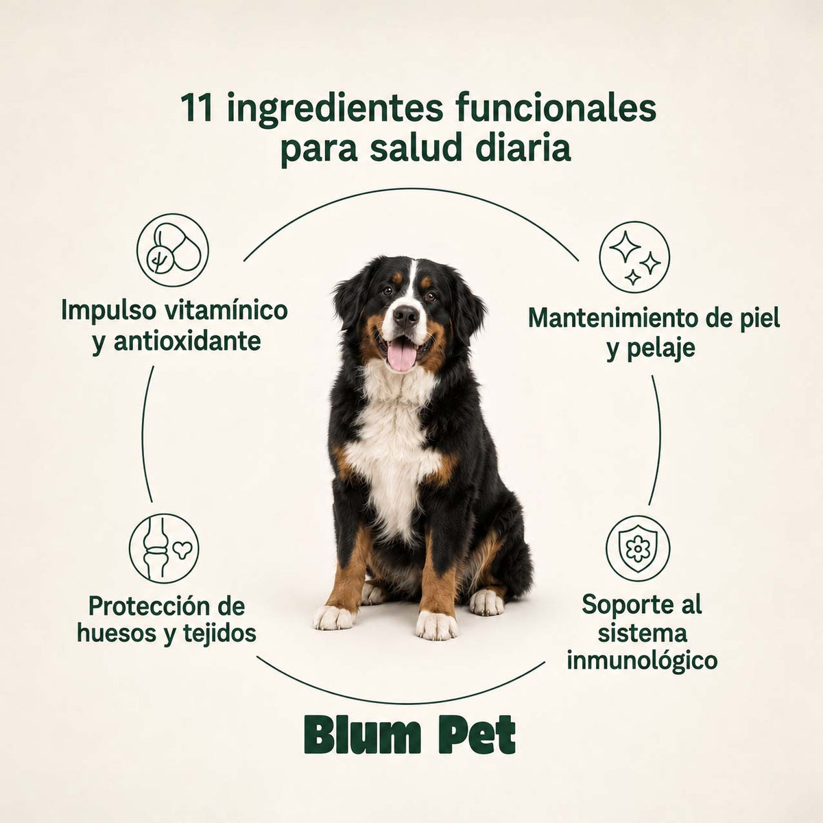 Bienestar Diario