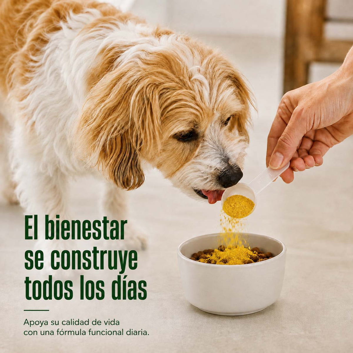 Bienestar Diario